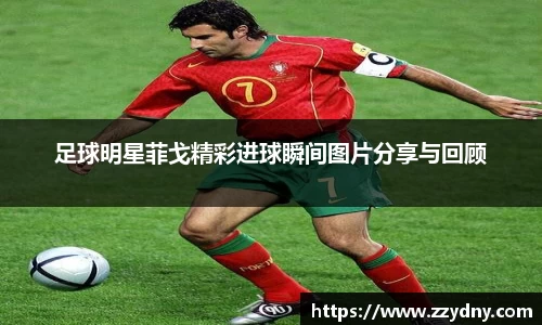 足球明星菲戈精彩进球瞬间图片分享与回顾